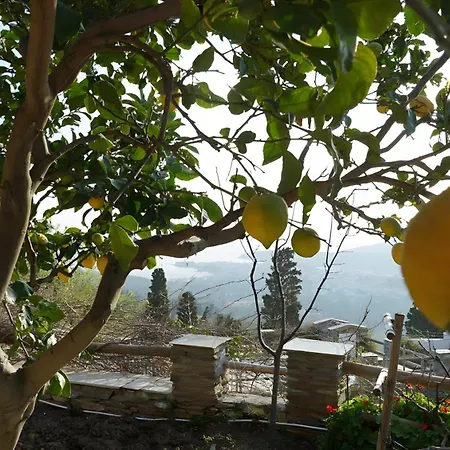 Alba Traditional Ándros